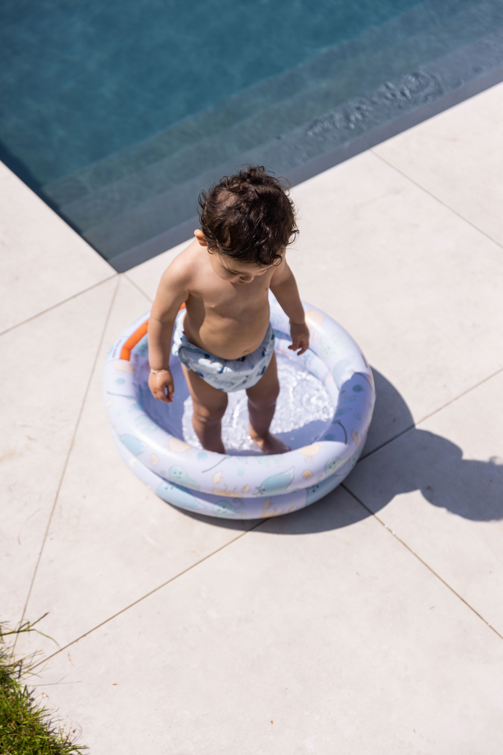 Swim Essentials | Baby Pool 60cm | Sea Animals